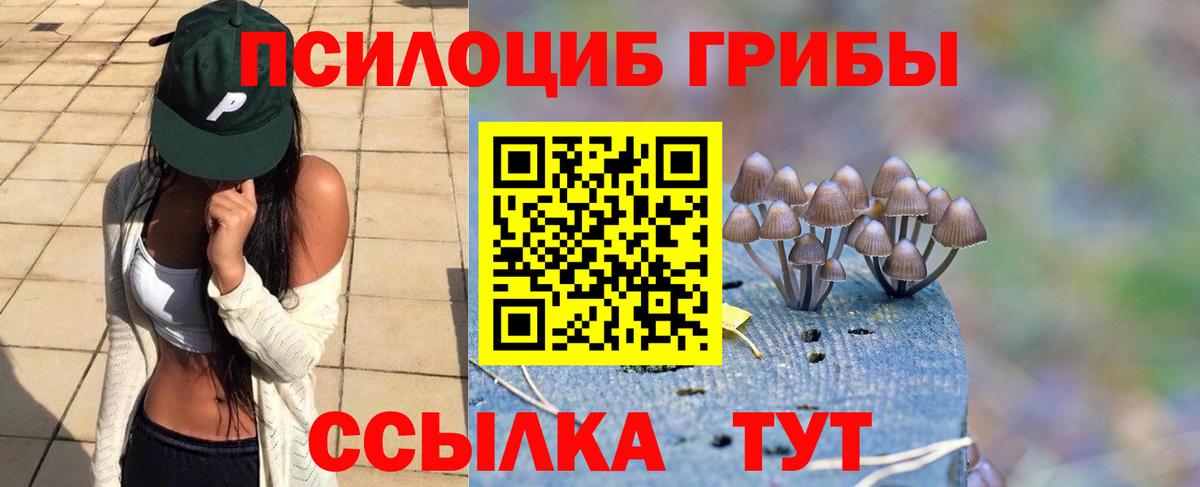 Псилоцибиновые грибы ЛСД Саратов